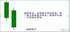 ̾(jin)֡